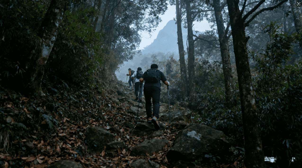 极光加速器使用效果提升的实战经验